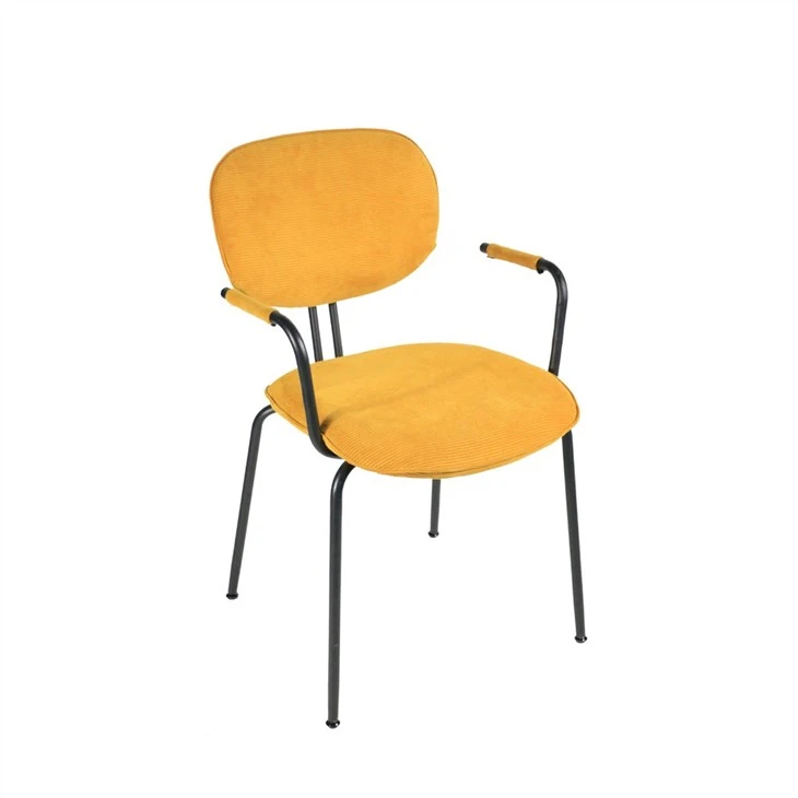 buy Leisure Chair